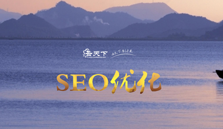 SEO優(yōu)化需要做哪些數(shù)據(jù)診斷分析呢?